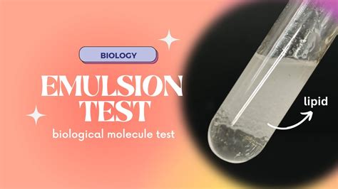 emulsion test|emulsion test a-level biology.